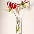 Magnetische XL-Vase | 3er Set